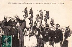 Oran- SDV- 6627-Sidi bel abbes 375